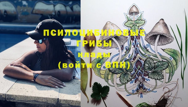 сатива Корсаков