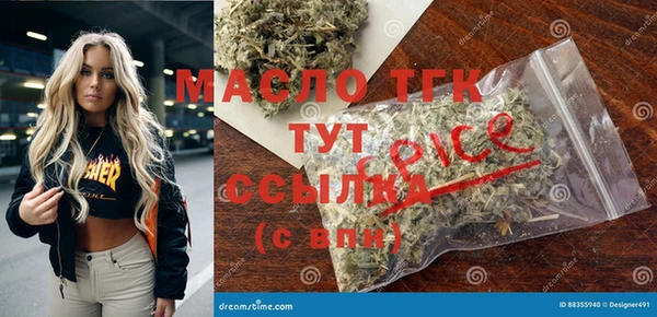 дмт Костерёво