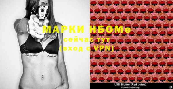 ГАЛЛЮЦИНОГЕННЫЕ ГРИБЫ Коряжма