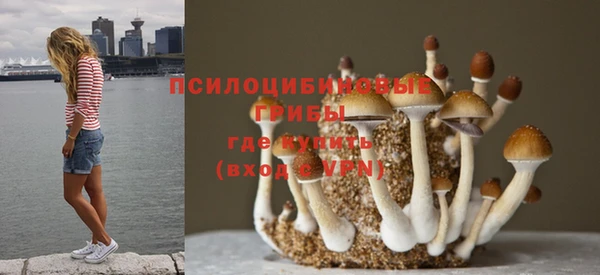 сатива Корсаков