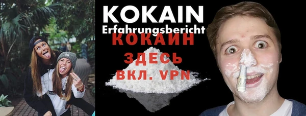 сатива Корсаков