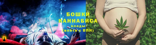 дмт Костерёво