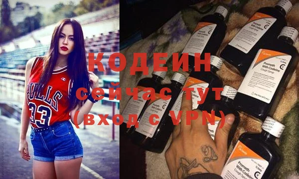 сатива Корсаков