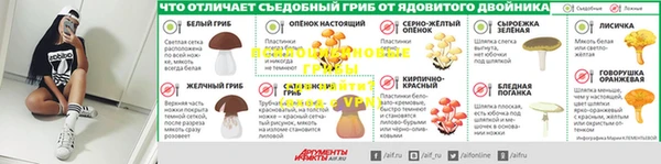 ГАЛЛЮЦИНОГЕННЫЕ ГРИБЫ Коряжма