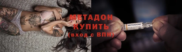 сатива Корсаков