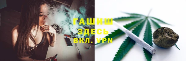 сатива Корсаков