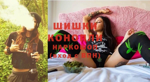 сатива Корсаков