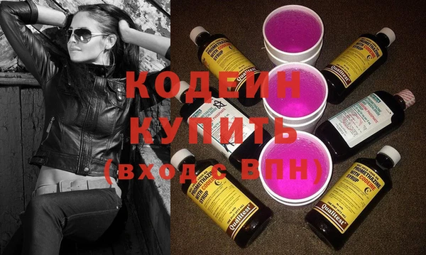 сатива Корсаков