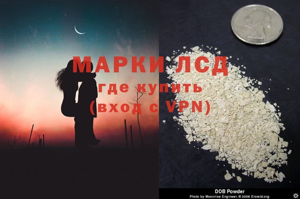 ГАЛЛЮЦИНОГЕННЫЕ ГРИБЫ Коряжма