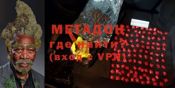 сатива Корсаков