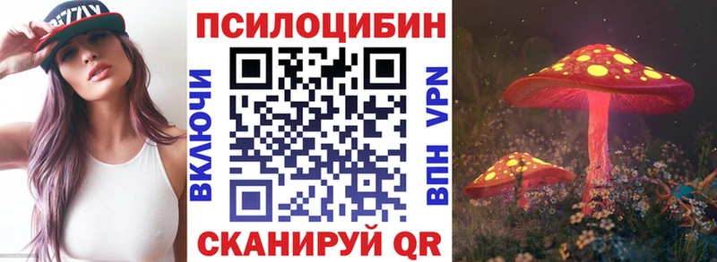 Галлюциногенные грибы мицелий  что такое   Нижнекамск 