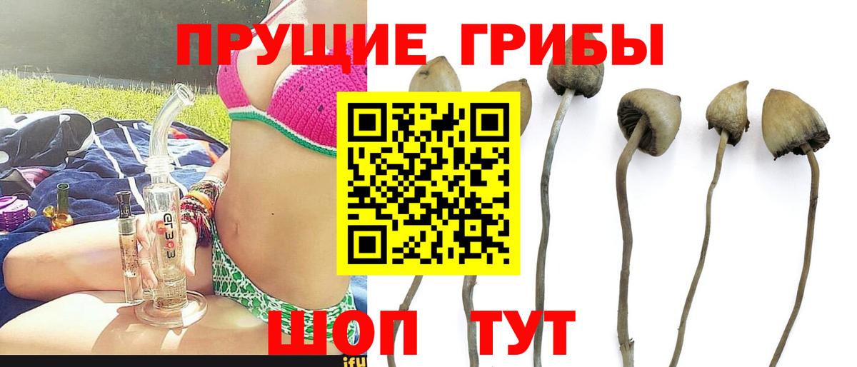Галлюциногенные грибы Magic Shrooms Нижнекамск