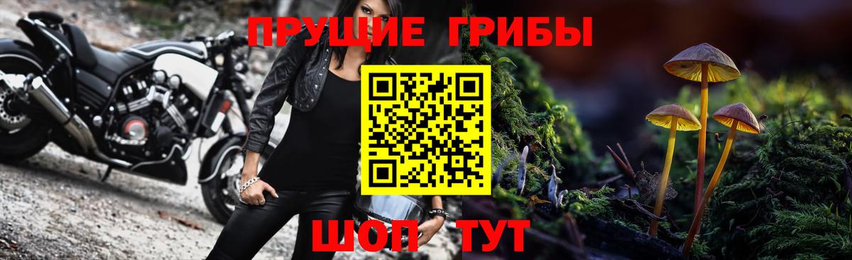 Галлюциногенные грибы прущие грибы  Вход с VPN  наркошоп  Нижнекамск  Галлюциногенные грибы Magic Shrooms 